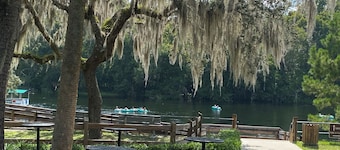 Cozy Chalet- walk to Rainbow River