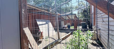 施設の敷地