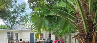 The Haven - Downtown OS with Pool & Pool House!