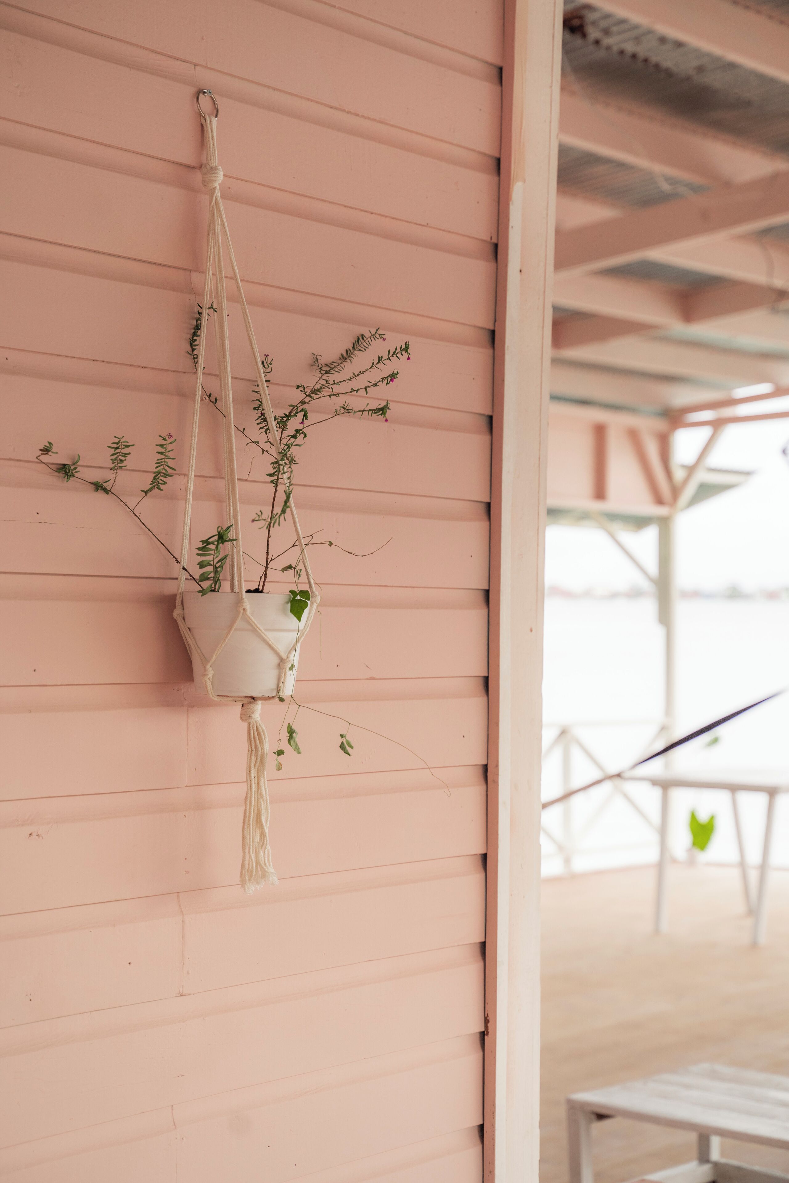 Une décoration murale en macramé avec une plante en pot, le tout placé devant un mur rose.