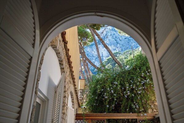 Área da propriedade