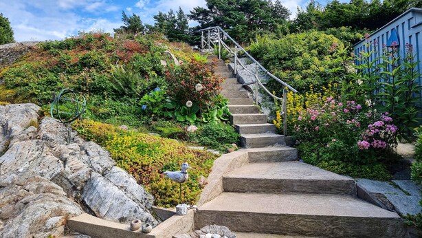 Una escalera de piedra que asciende una colina, rodeada de abundante vegetación y plantas en flor.