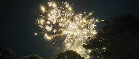 A night sky with fireworks.