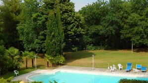 Una piscina rodeada de abundante vegetación, con tumbonas y plantas en macetas.