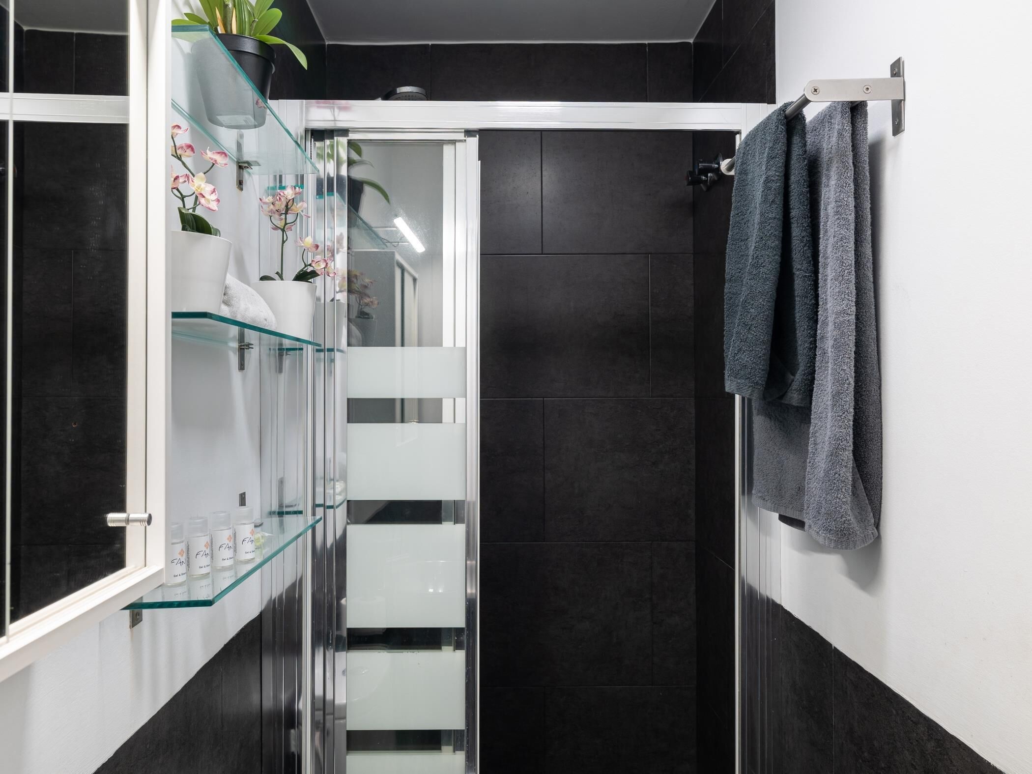 Shower, hair dryer, towels, toilet paper