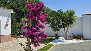 المنطقة المحيطة بالمنشأة