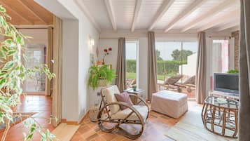 TV, fireplace, DVD player