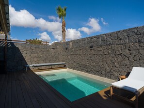 Un área de piscina con un muro de piedra, una palmera y un sillón de descanso.