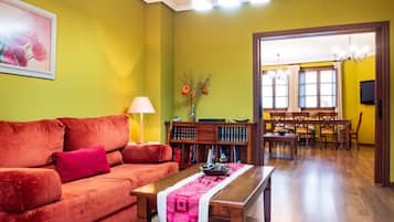 Télévision, cheminée, lecteur de DVD