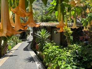 A garden pathway leading to a stone building with a tiled roof, surrounded by lush greenery and flowering plants.