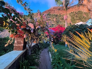A garden pathway with flowering plants and a palm tree.