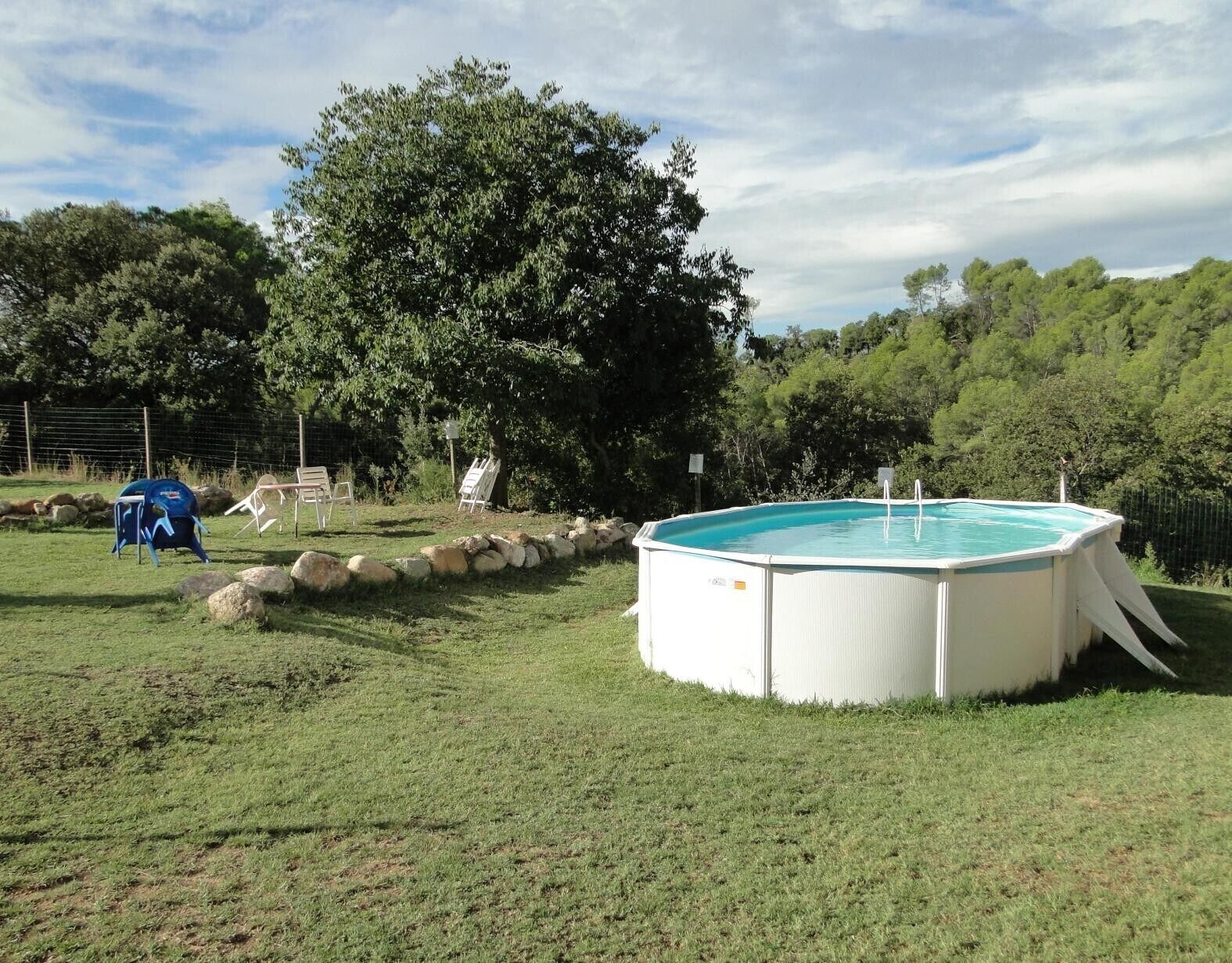 Un jardin avec une piscine, un grand arbre et une zone délimitée par une clôture.