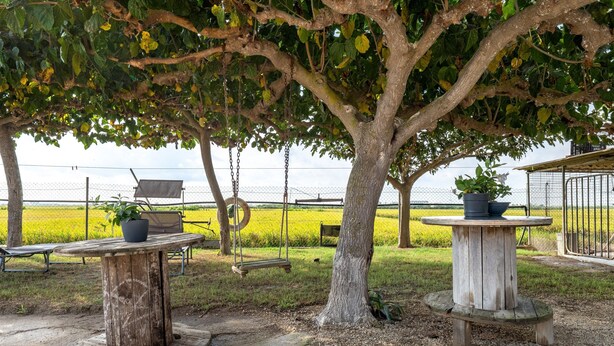 A rustic outdoor seating area with wooden tables and benches, surrounded by trees and a fence. - Country House 'Caseta Montanyana' with Private Terrace, Private Garden and Wi-Fi (Deltebre)