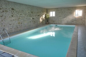 An indoor swimming pool with stone walls, a ladder, and a potted plant.