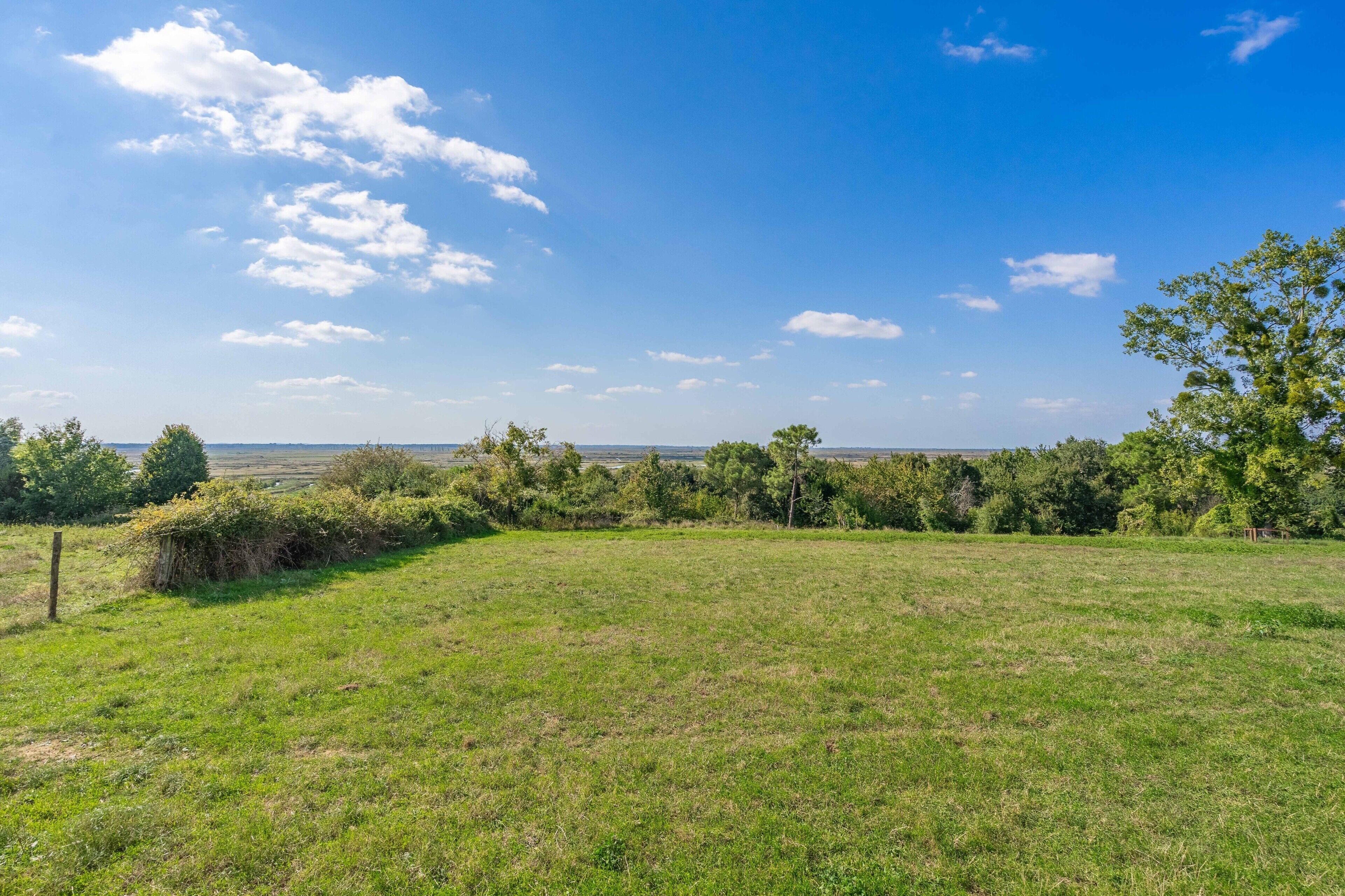 Ein grasbewachsenes Feld mit Bäumen und blauem Himmel.