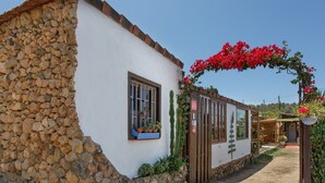 A stone and plaster building with a window, a door, and a small garden area with plants and a cactus.