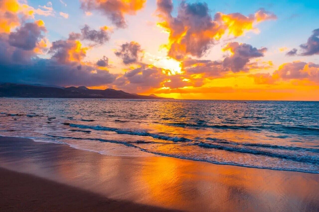 Una playa cerca