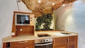 Fridge, microwave, oven, coffee/tea maker