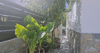148 Lim- Stay Synergy House