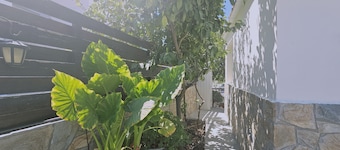 148 Lim- Stay Synergy House