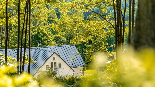A house with a sloped roof surrounded by dense forest. - Villa met Sauna Ldd032 (Desna)