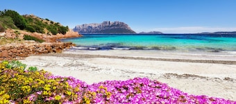 La Casa di Paola, Olbia, Italy