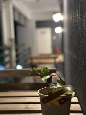 Terraza o patio