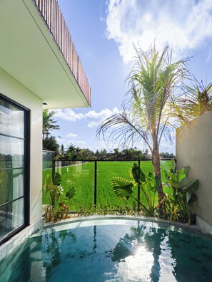 A modern house with a swimming pool, a view of a green field, and a palm tree. - Nasha Stana Ricefields View (Ubud)