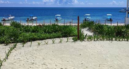 Beachfront Villa in Puerto Morelos