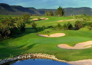 Golf - Tulloch Lodge - Golfers Dream at Cypress Lakes (Pokolbin)