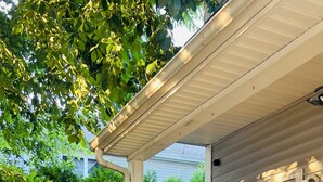 A covered porch with two chairs, a large green bush, and a house with a window. -  Charming 3 bedroom home Centrally located in Worcester (Worcester)