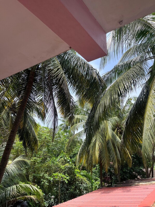A covered outdoor area with a red floor, surrounded by tall palm trees and dense greenery. - Abbi S Nest (Calangute)