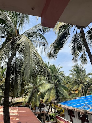 View from property - Abbi S Nest (Calangute)