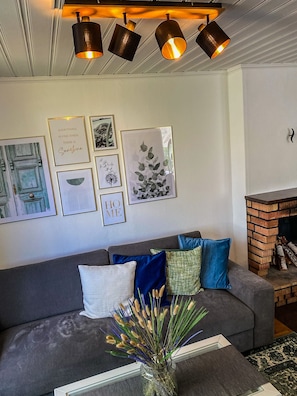 Een smart-tv, een open haard, boeken en een stereo