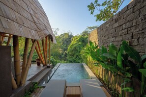 Habitación doble Deluxe | Alberca privada