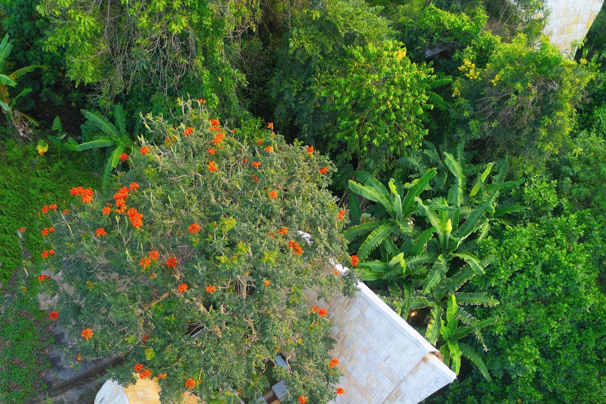 Alberca al aire libre