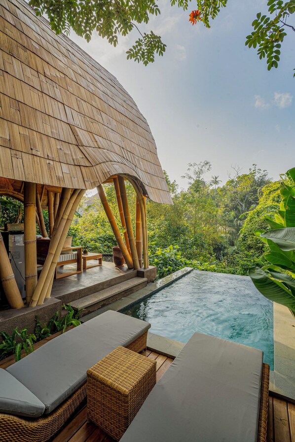 Habitación doble Deluxe | Alberca privada