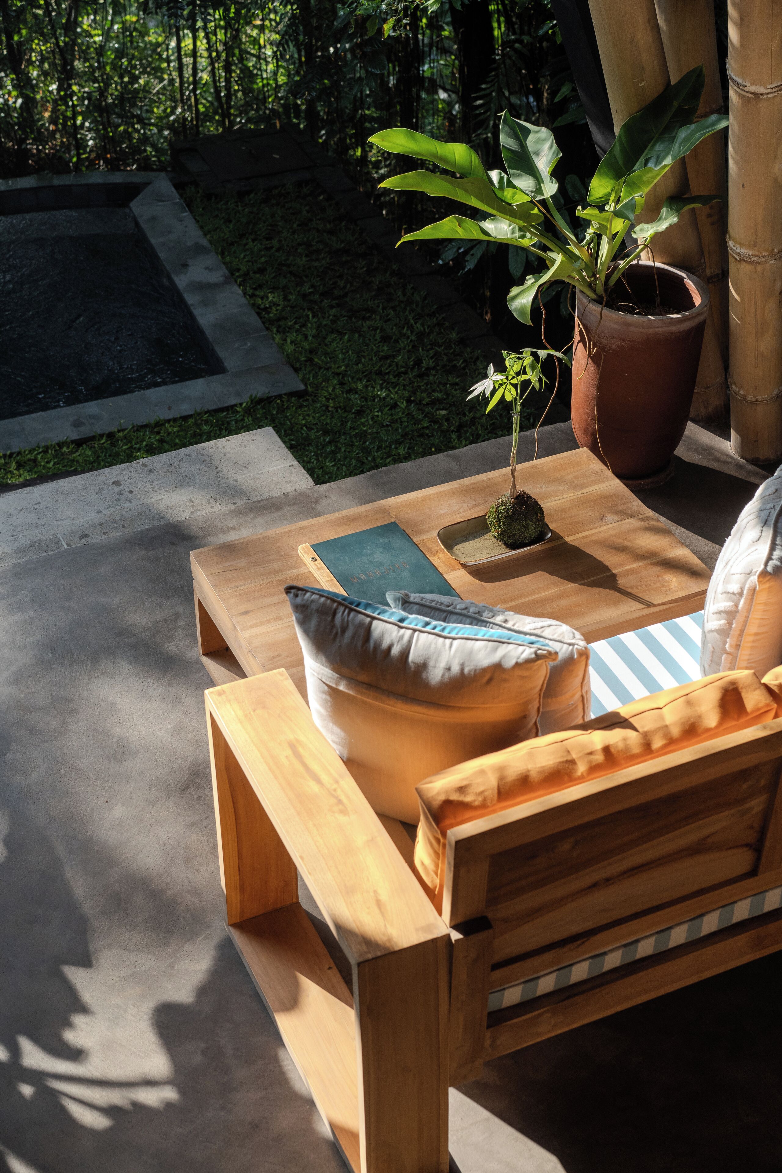 A wooden bench with a cushion and a small potted plant.