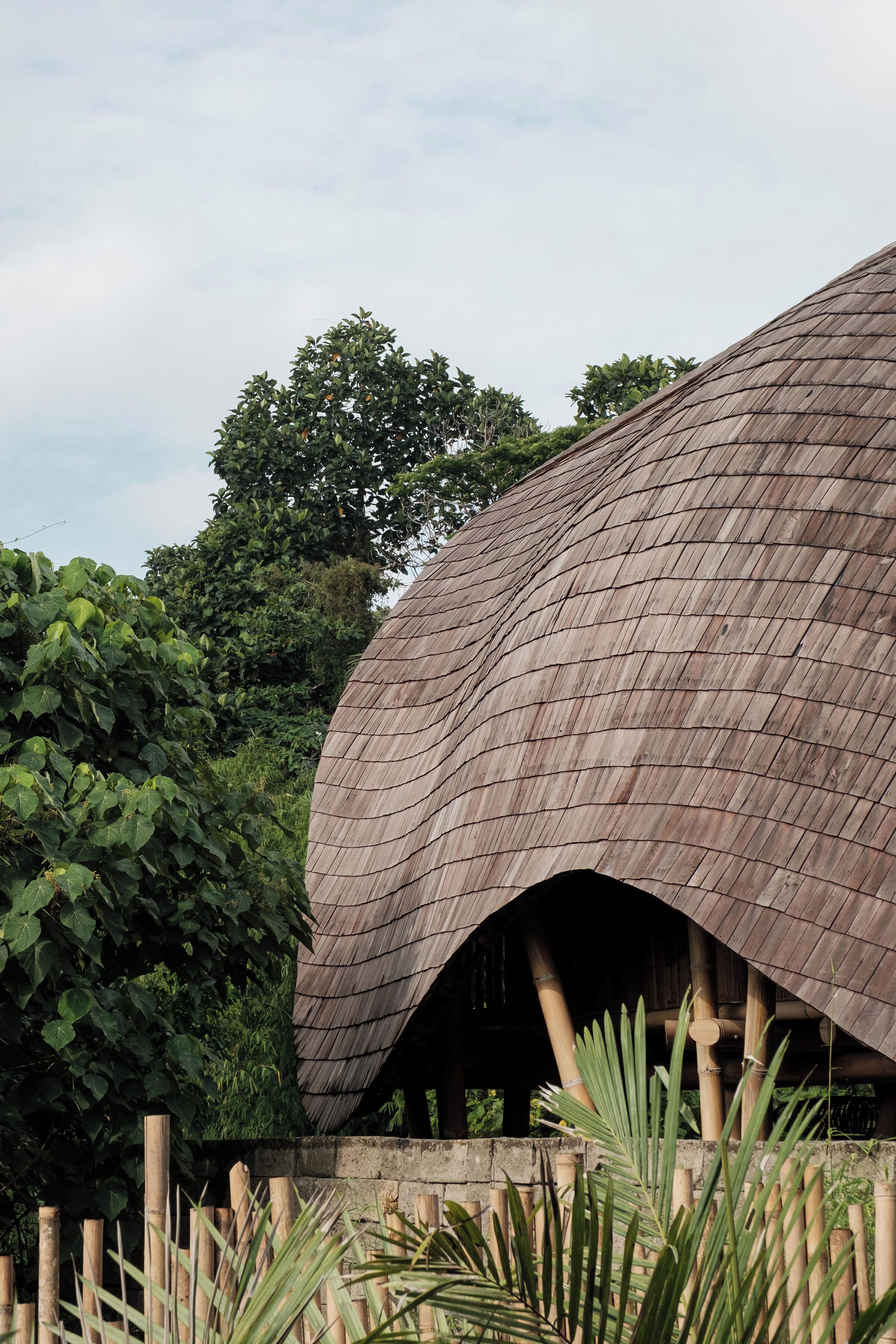 A building with a curved, wooden roof structure surrounded by lush greenery.