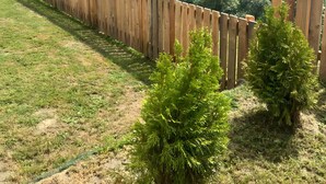 A wooden fence, a small green shrub, and a view of a valley with hills and a lake. - Apartment 'Fuchsbau' with Mountain View, Private Terrace and Wi-Fi (Vordertheissenegg)