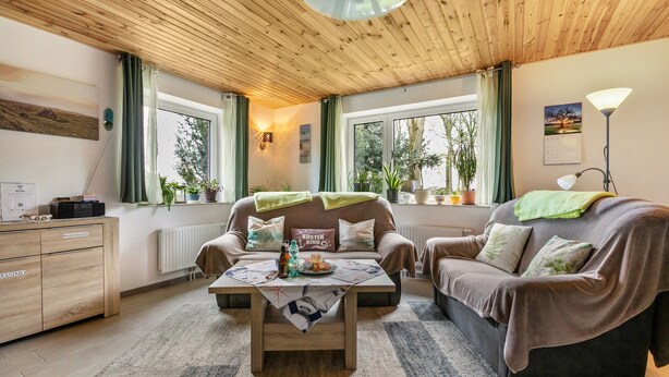 Una habitación acogedora con techo de madera, dos sofás, una mesa de centro y un radiador.