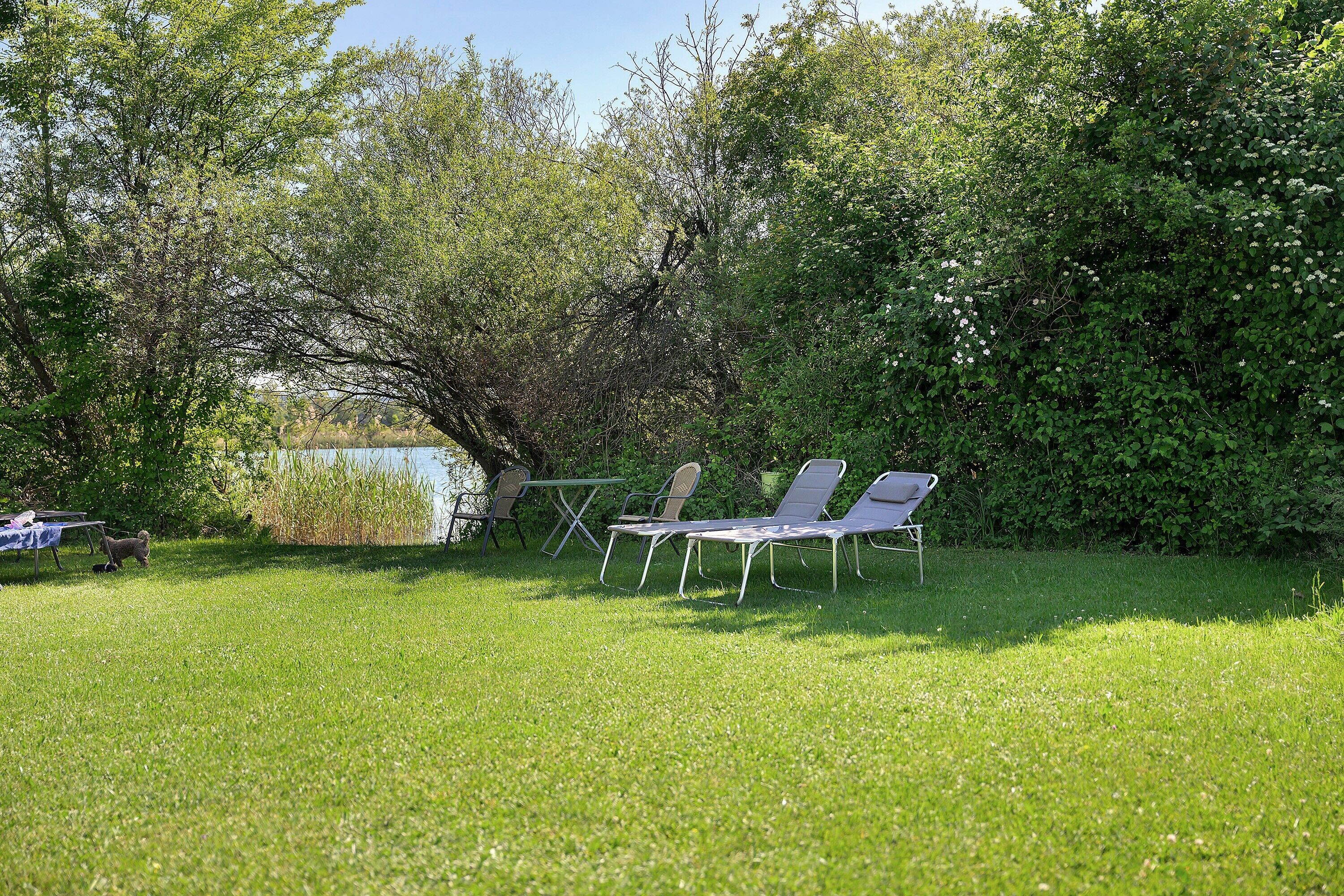 Ein grasbewachsener Außenbereich mit Tisch und Stühlen, umgeben von dichtem Grün und Bäumen.