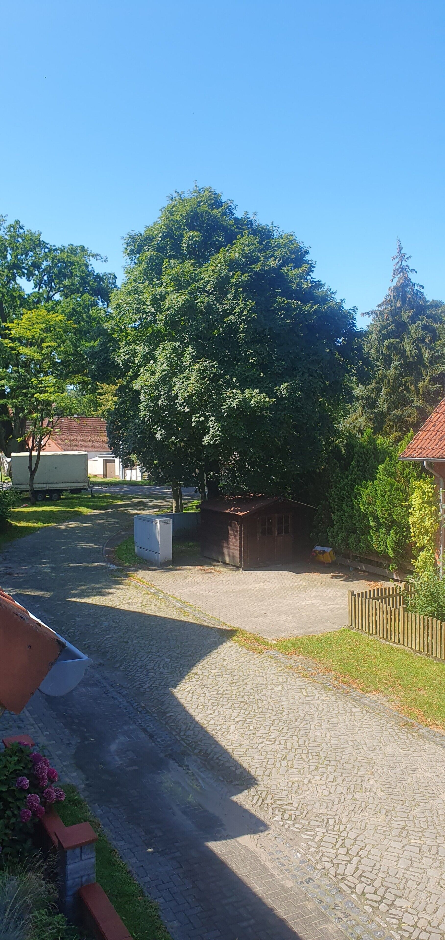 Ein gepflasterter Weg führt zu einem Holzhaus, umgeben von Grünflächen und Bäumen.