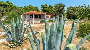 Une maison avec un toit recouvert de tuiles rouges, entourée de plantes d’agave et d’arbres.