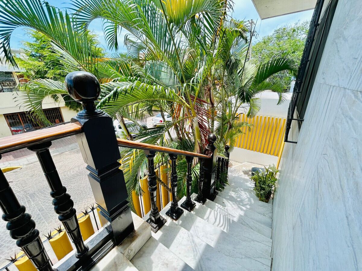 Un balcon doté d’une balustrade noire, d’un escalier en marbre blanc et de luxuriants palmiers.