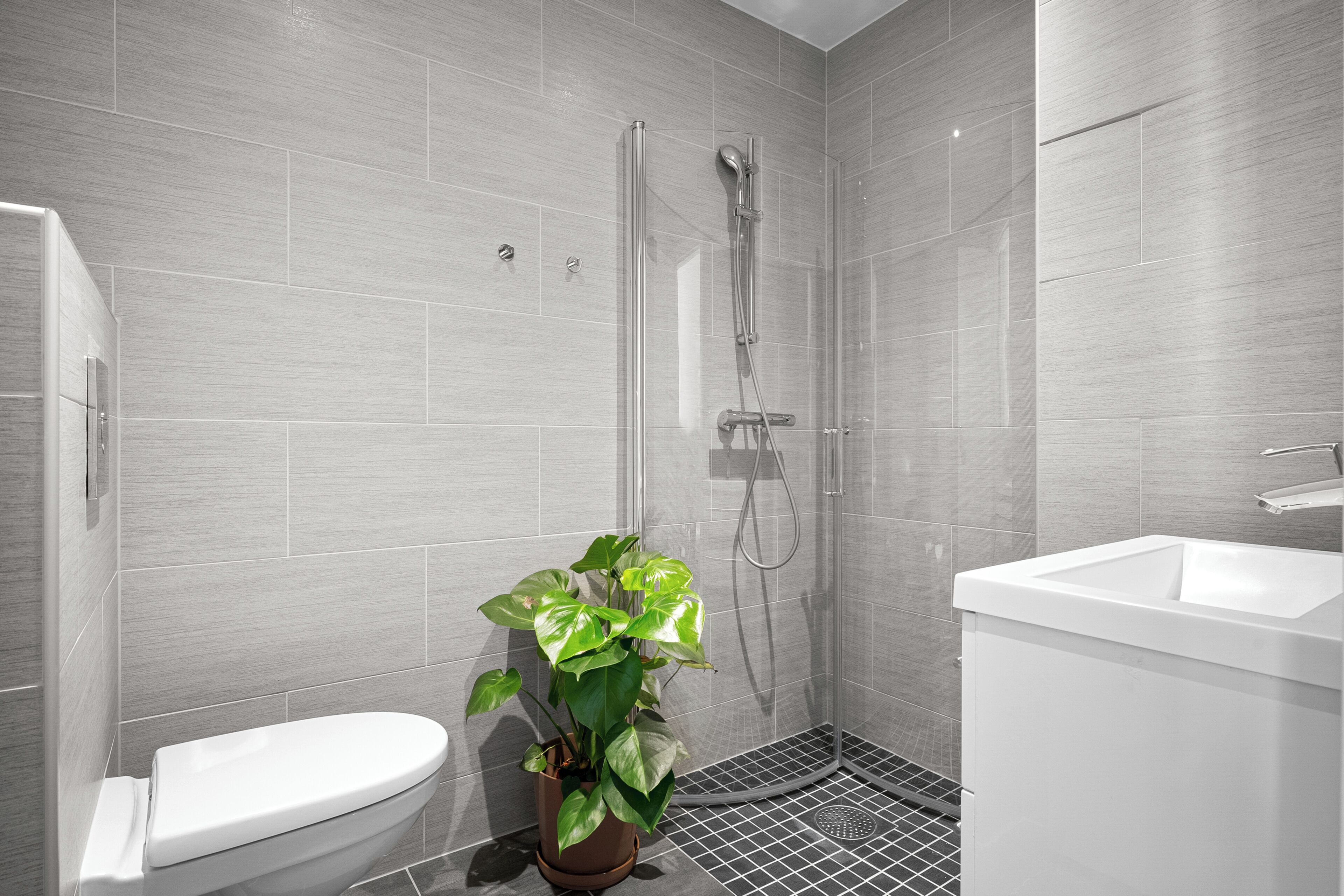 A modern bathroom with a shower, toilet, sink, and a potted plant.