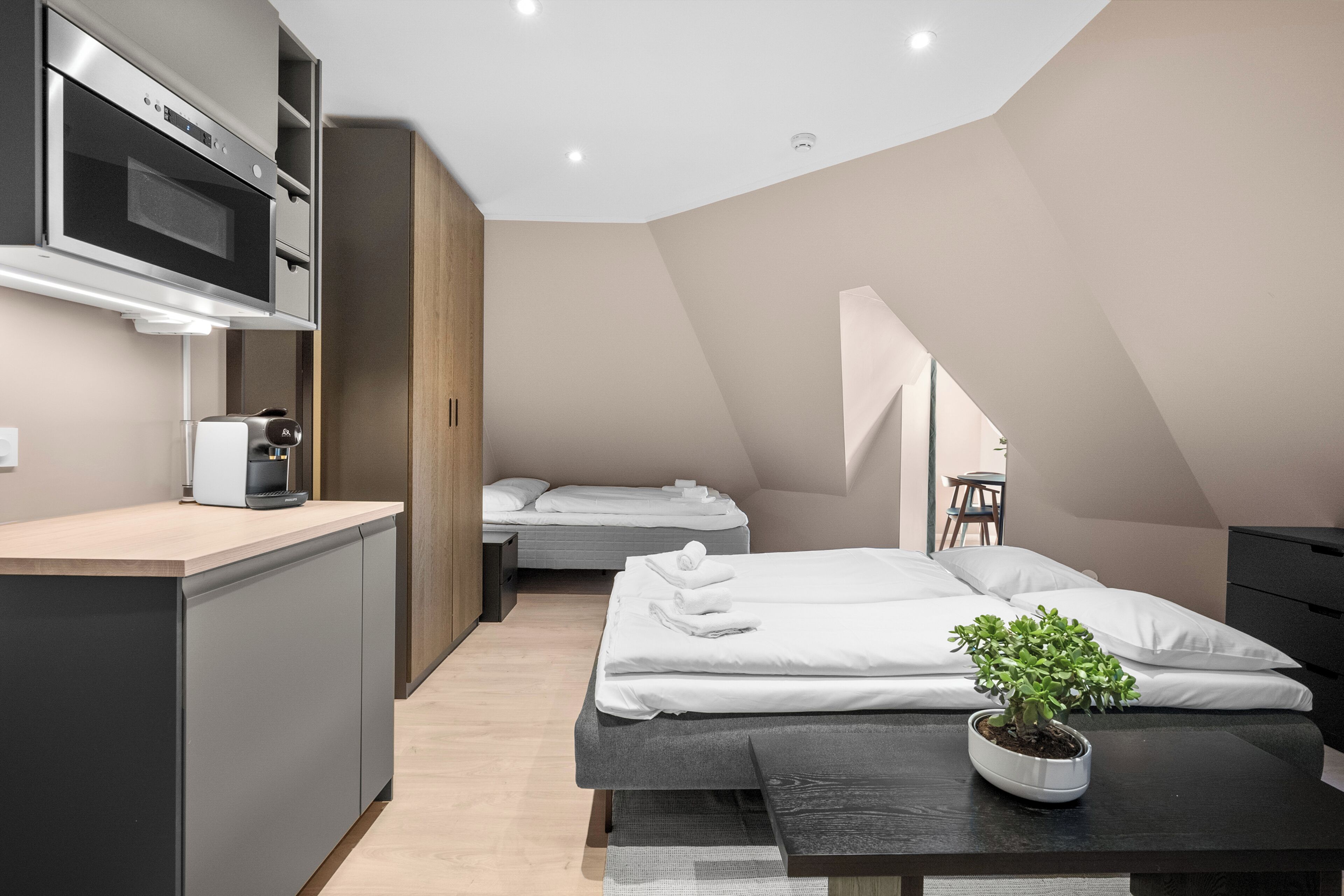 Una habitación moderna y compacta con kitchenette, dos camas, zona de comedor y una planta en maceta.