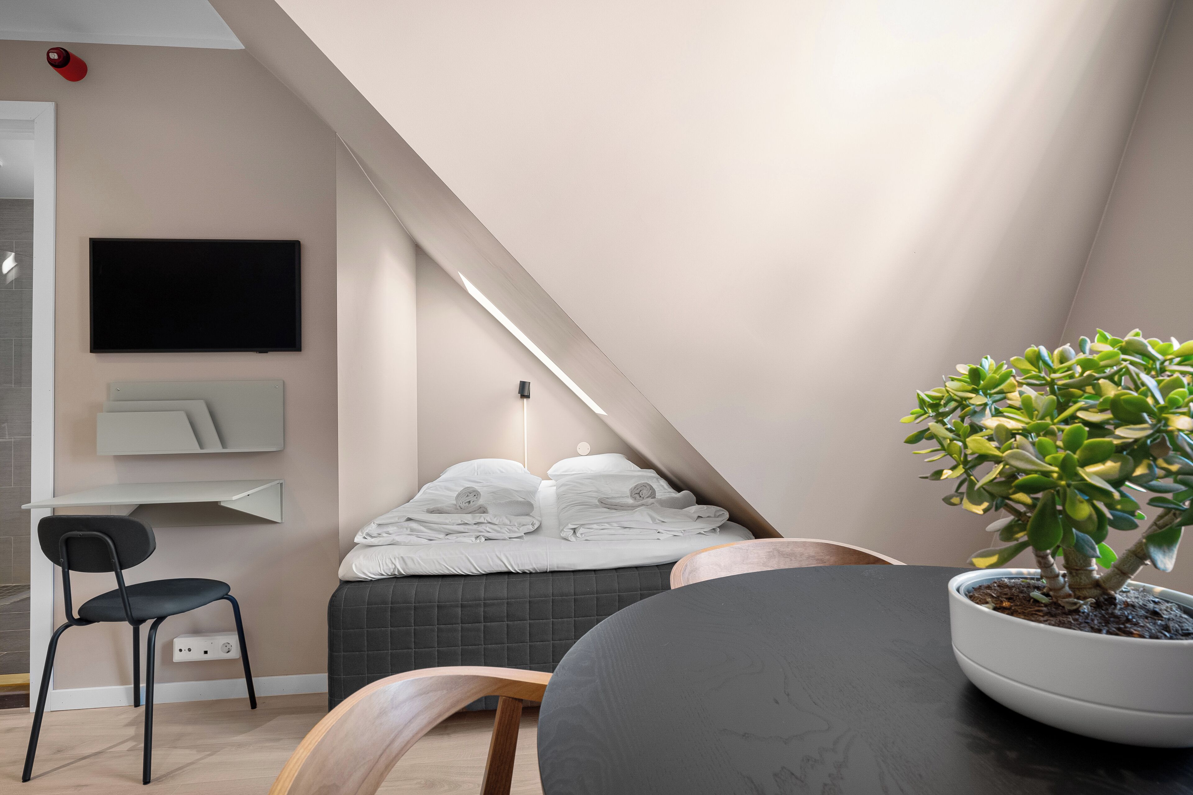 Une chambre à coucher moderne, avec un lit, un bureau, une chaise, une plante en pot et un téléviseur à écran plat.