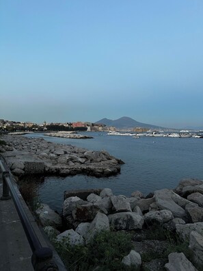 Overlooking the calm waters, this coastal scene offers breathtaking views of a distant city and mountain.