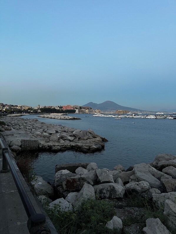 A rocky waterfront with boats and buildings in the background.